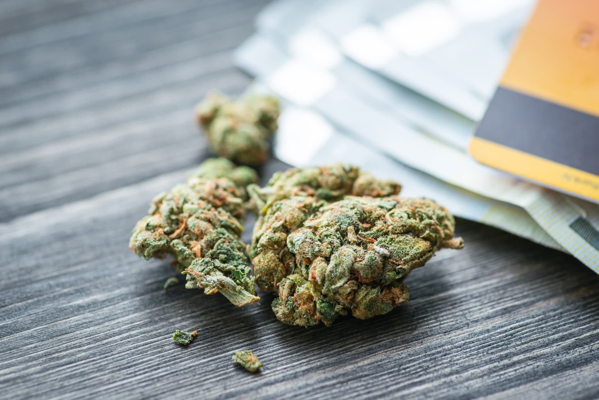 Dein Grow-Erlebnis verbessern – Weed Samen kaufen mit Experten-Tipps